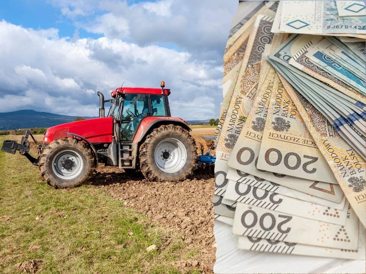 KOWR wystawia 120 ha ziemi. W pakiecie pałac, obory, silosy i magazyny