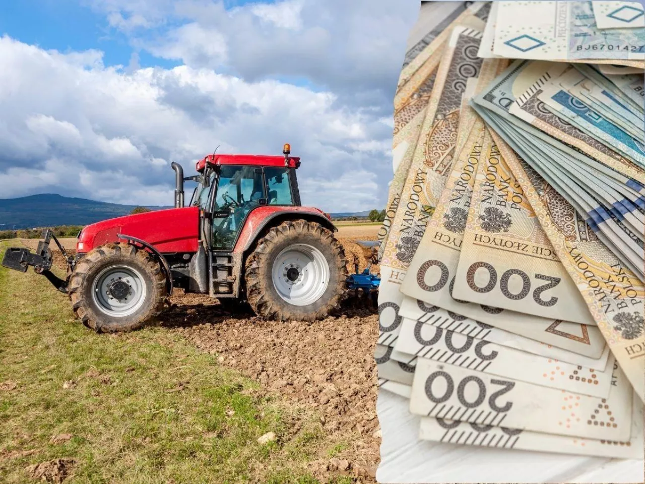 KOWR wystawia 120 ha ziemi. W pakiecie pałac, obory, silosy i magazyny
