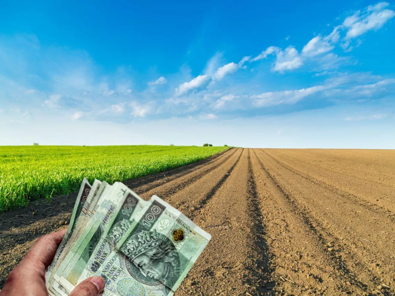 ziemia rolna, dłoń z polskimi banknotami 