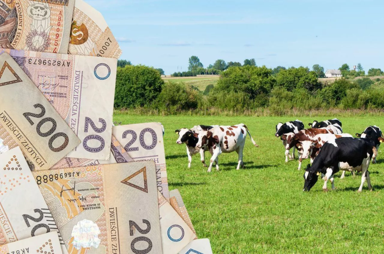 200 tys. zł taniego kredytu dla rolnika. Wiemy, kto dostanie go w pierwszej kolejności
