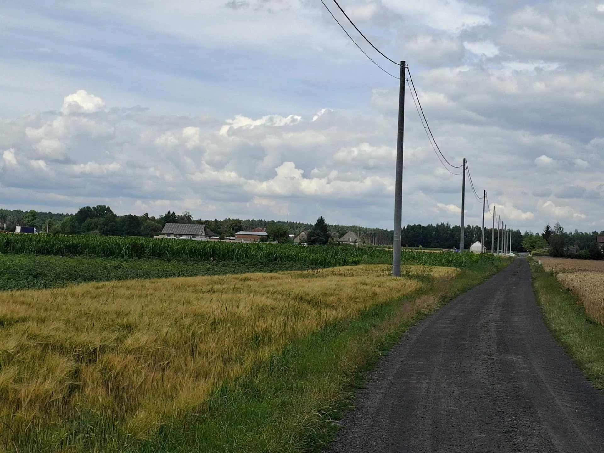 Kupiłeś ziemię rolną? Tego przez 5 lat nie wolno robić. KOWR może wystąpić do sądu
