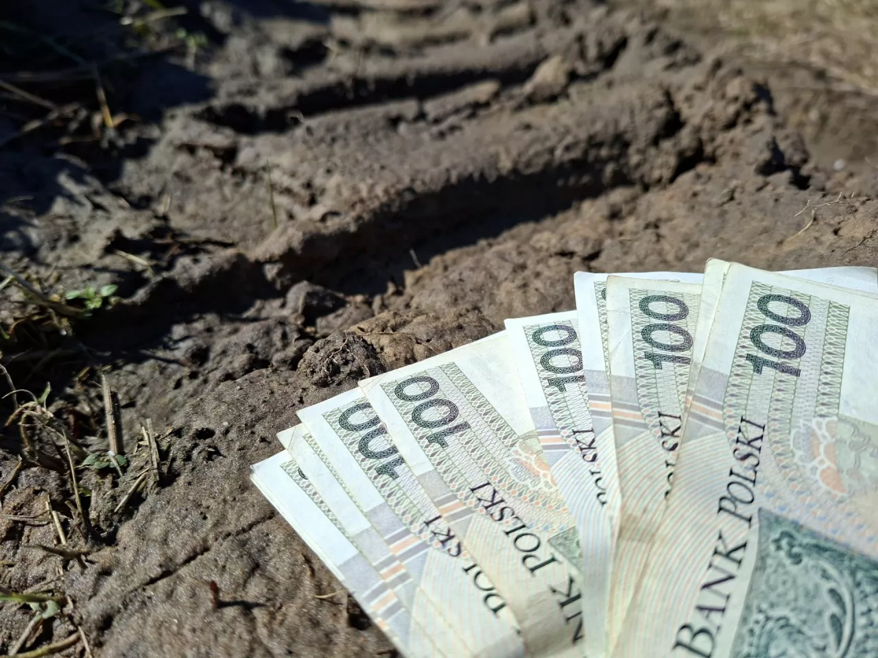 Nabycie własności w drodze zasiedzenia podlega opodatkowaniu stawką 7% podstawy opodatkowania.