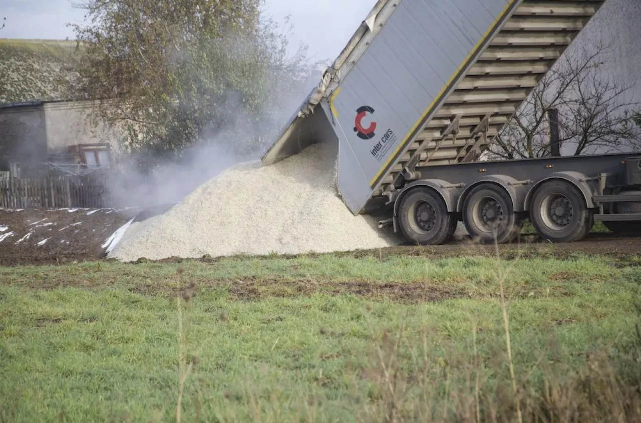 Ile rolnicy płacą za wysłodki buraczane? Różnice w cenach są ogromne