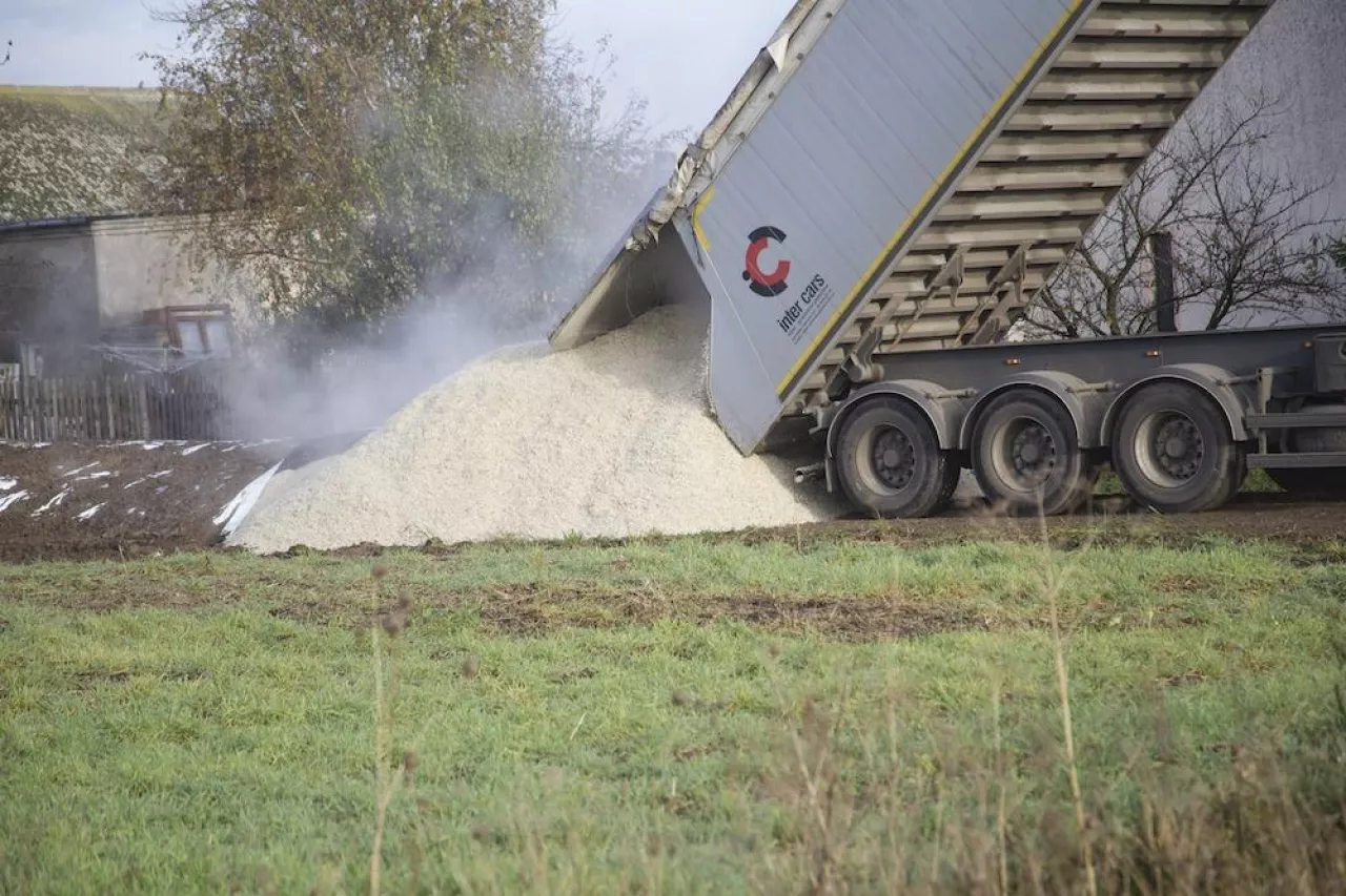 Wysłodki buraczane są tańsze niż w ubiegłym roku. Jakie są ceny za tonę? 