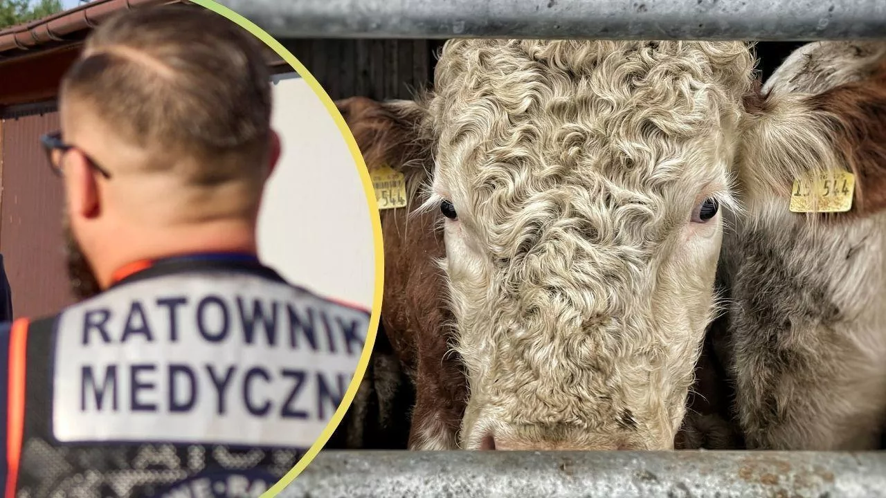 Na ratunek dla zaatakowanego było za późno