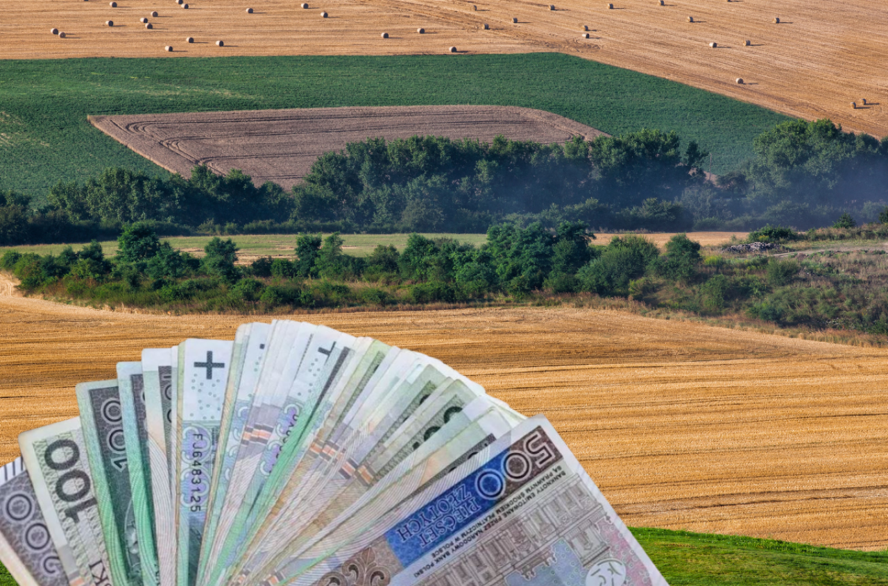 20 proc. rolników dostało już zaliczki dopłat. Ile ARiMR płaci za hektar?