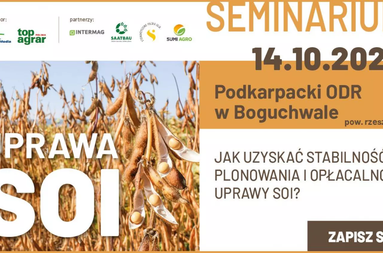 Soja coraz popularniejsza, ale plon bywa loterią. Jak ograniczyć ryzyko?