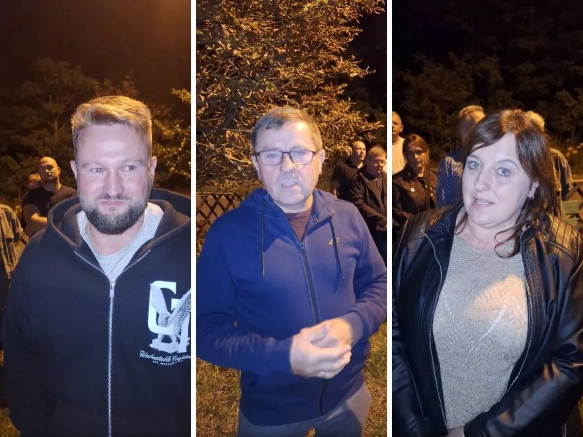 Ceny świń runęły w Niemczech. Polscy rolnicy apelują do zakładów: „Nie dobijajcie nas”