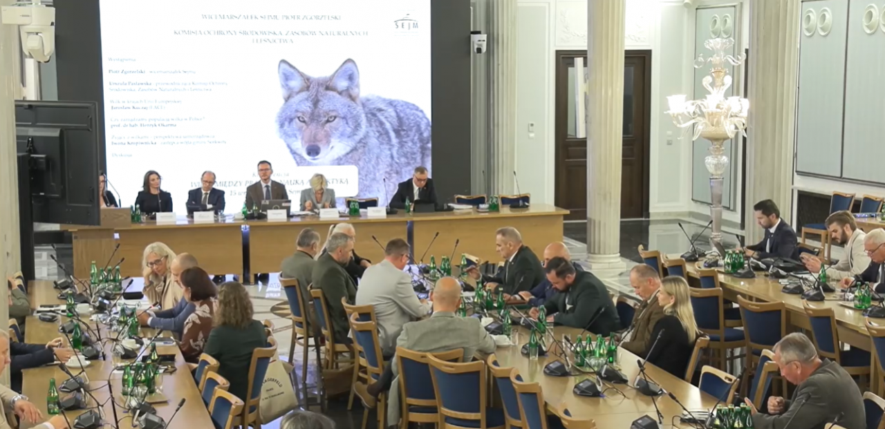 Konferencja ”Wilk - między prawem, nauką a praktyką”