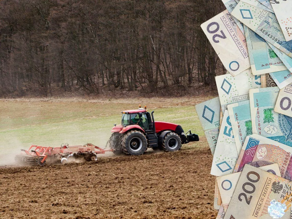 KOWR sprzedaje ponad 100 ha ziemi. Gdzie i za ile?