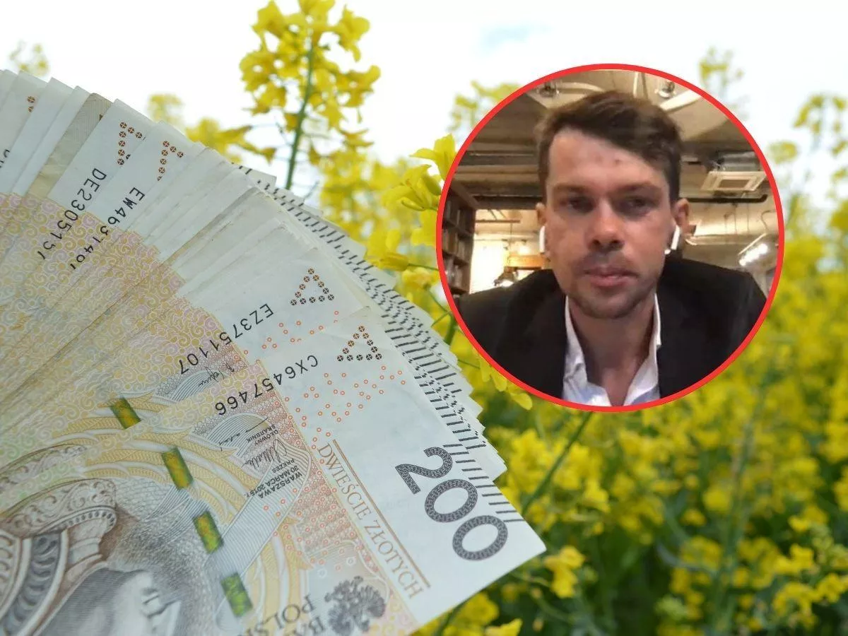 Rolnicy chcą ubezpieczyć rzepak, ale dopłaty utknęły. Brakuje zgody KE