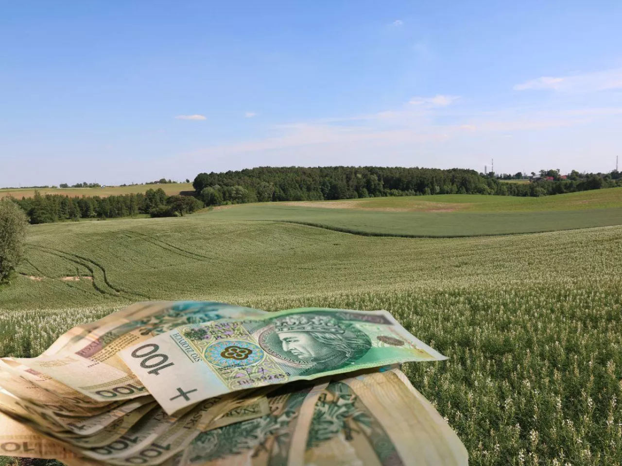 pole, ziemia rolna, polskie banknoty u dołu