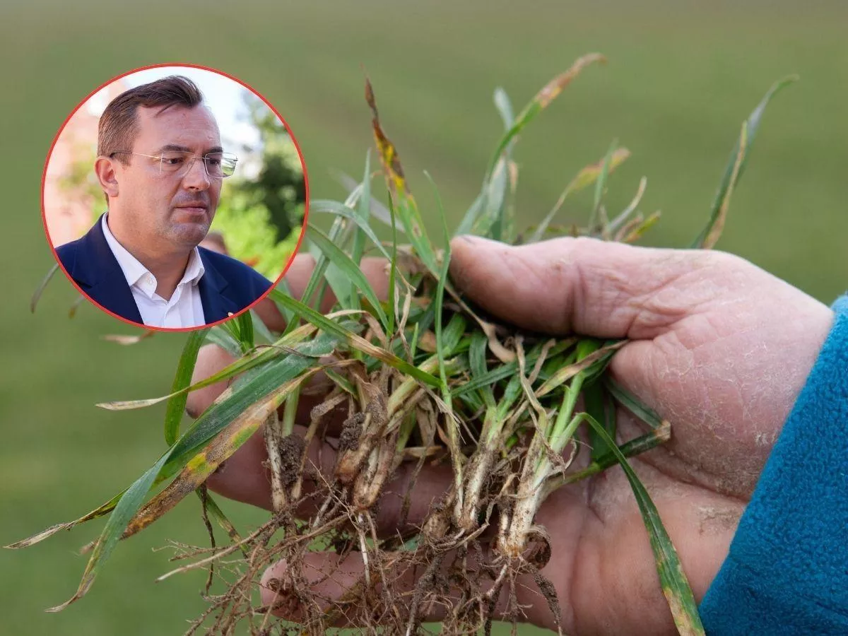 Dopłata jest, ale jakby jej nie było. Rolnicy czekają, minister uspokaja