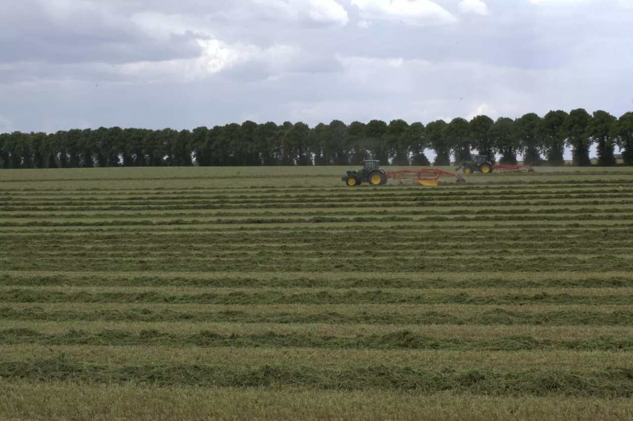 Właściciel sprzedaje dzierżawione pole. Kiedy dzierżawca może mieć prawo pierwokupu?