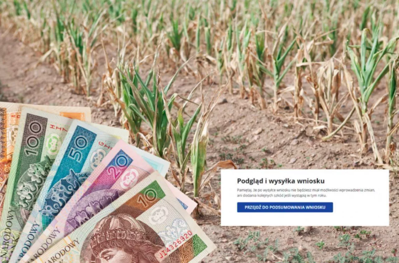 Rolnicy mają czas tylko do 15 października. Bez tego nie dostaną pomocy suszowej