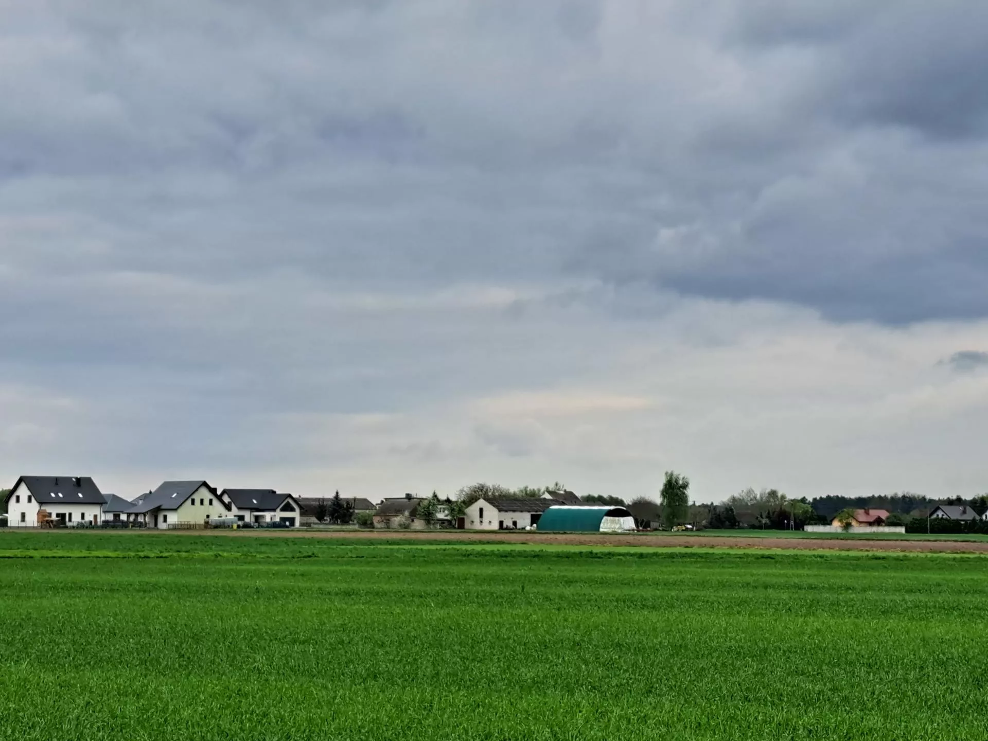 Chciał budować oborę. Jedna decyzja może pokrzyżować wszystkie plany
