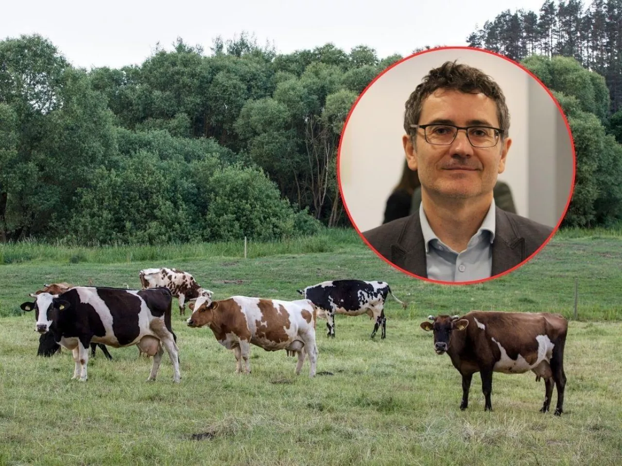 Kiedy rolnicy dostaną dopłaty za dobrostan zwierząt?