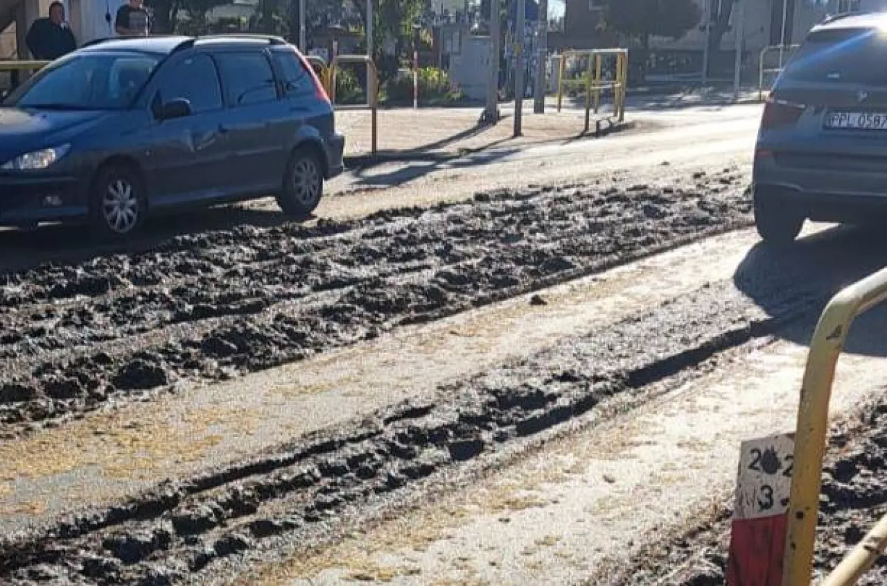 Tony obornika na drodze krajowej nr 12. Sprawca zabrudzenia drogi ściga policja