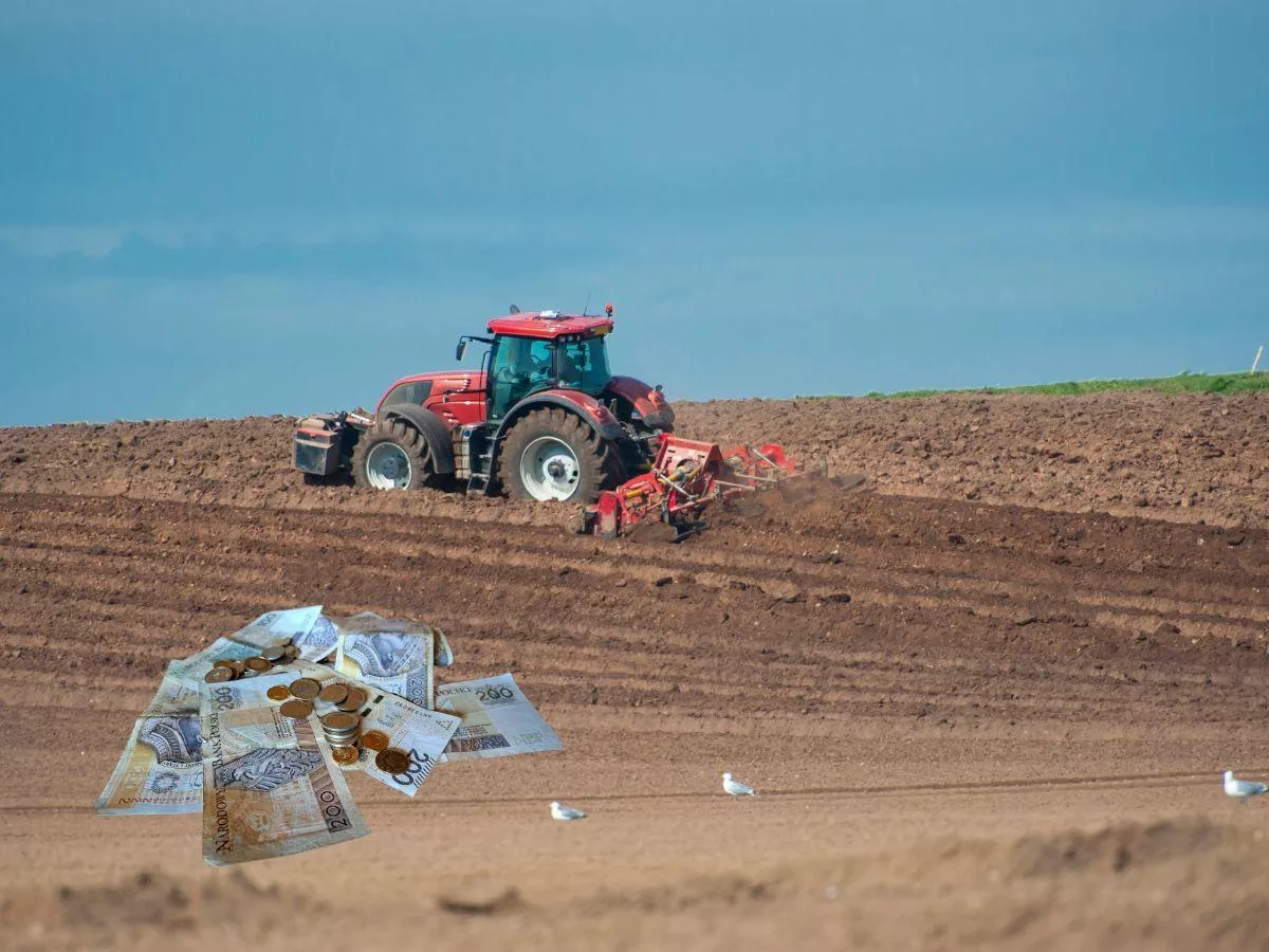 KOWR wydzierżawi 150 ha z oborą i silosami. Na działkach jest choćby złoże złota