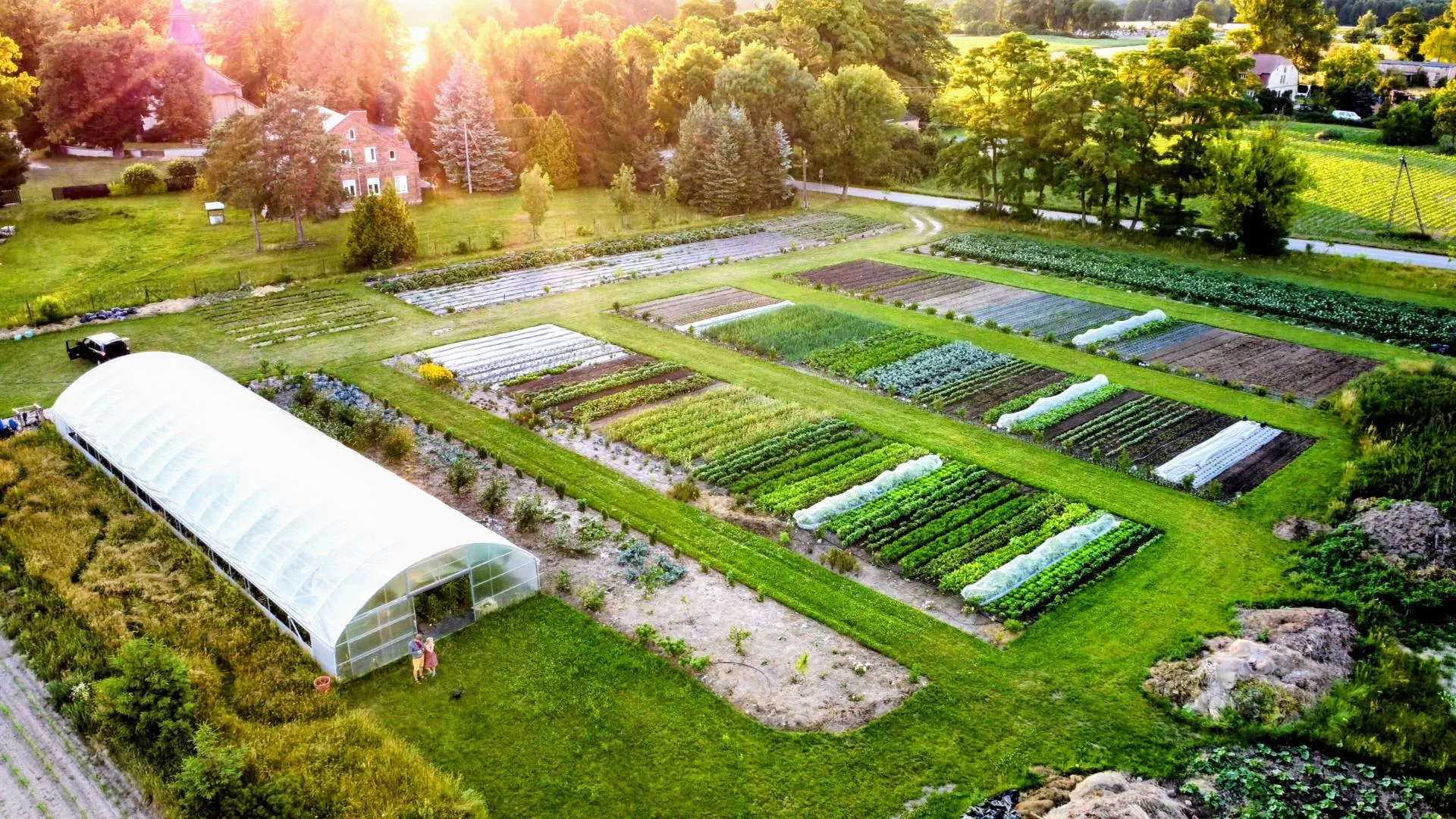 Rzucił korporację. Dziś prowadzi farmę 7000 m2, a warzywa sprzedają się same