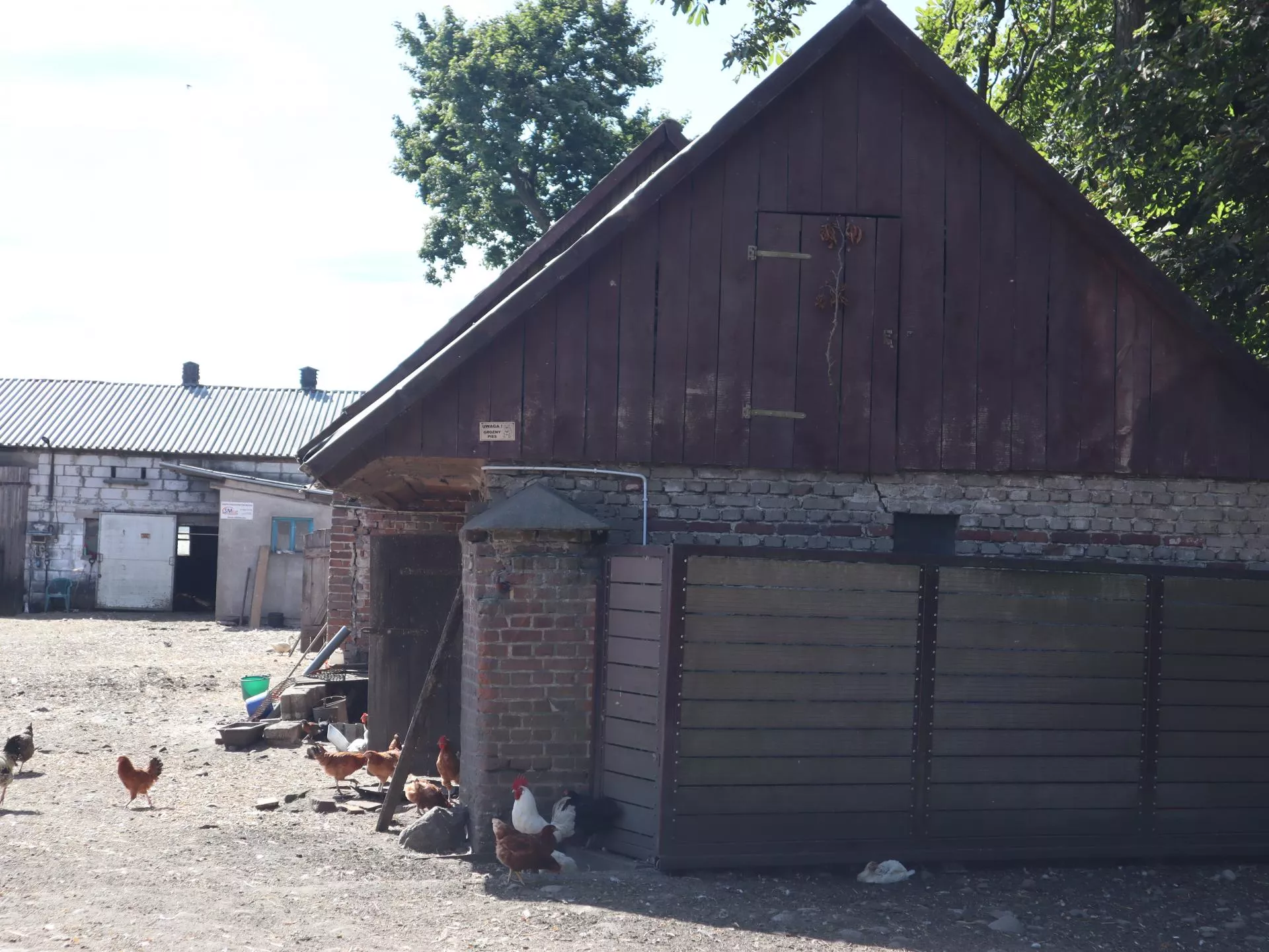 Mają mało ziemi, a produkują więcej z hektara. Małe gospodarstwa wcale nie są skazane na zniknięcie