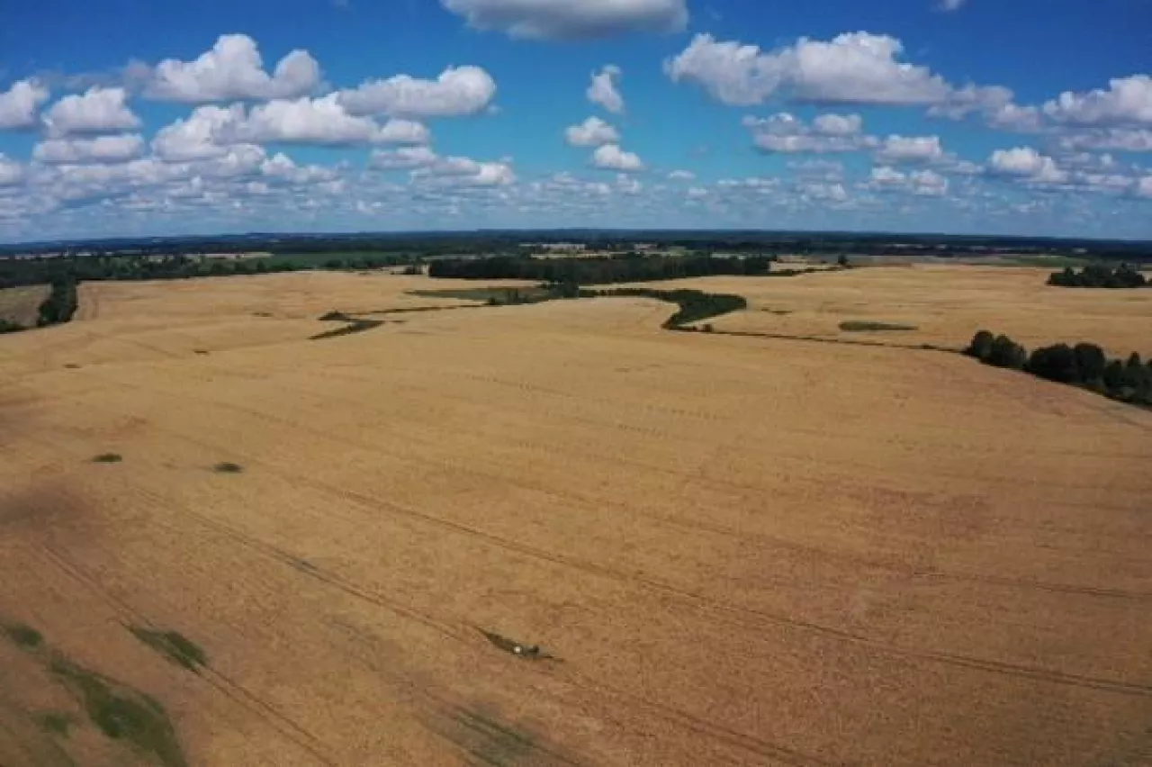 Duże gospodarstwo rolne na sprzedaż - 2 000 ha gruntów z kompletną infrastrukturą