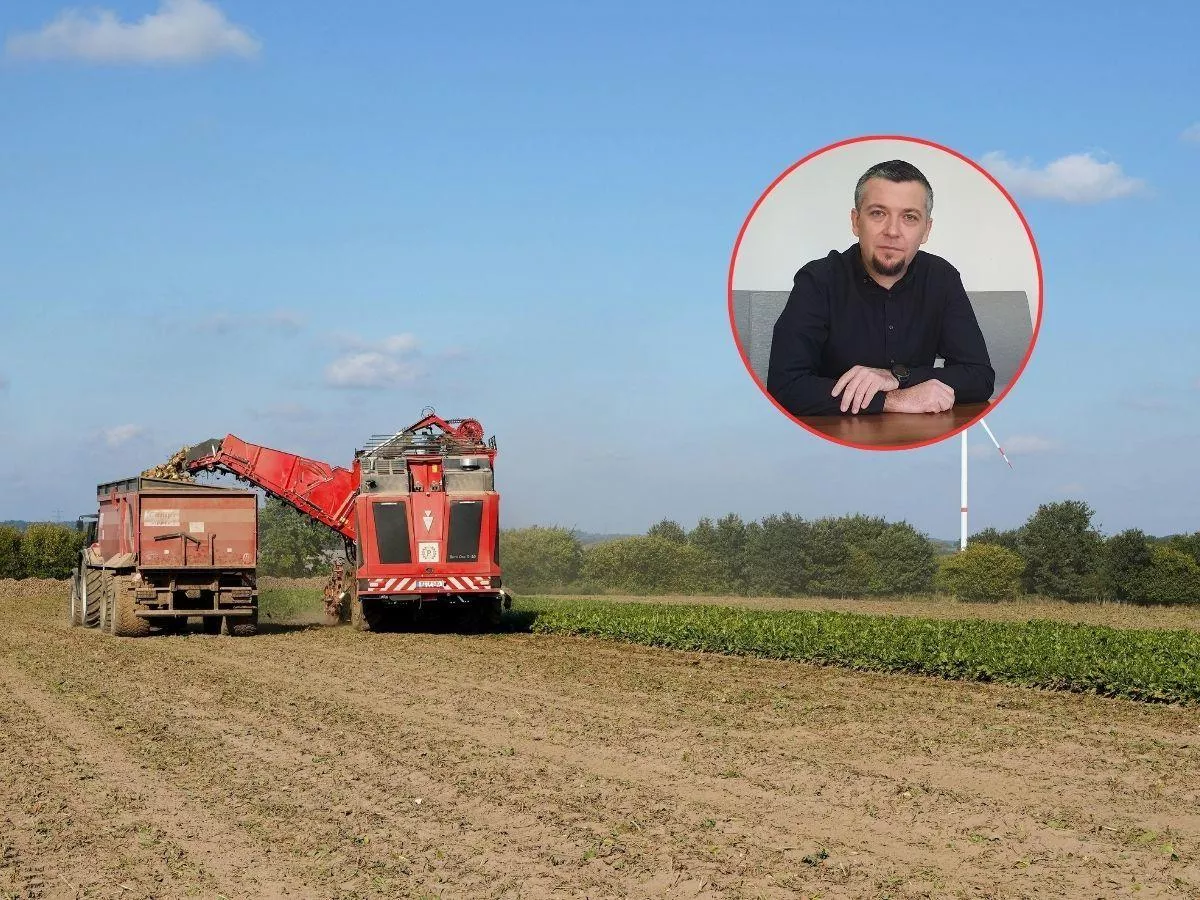 Buraki po 40 euro za tonę? Ekspert wskazuje, co musiałoby się wydarzyć