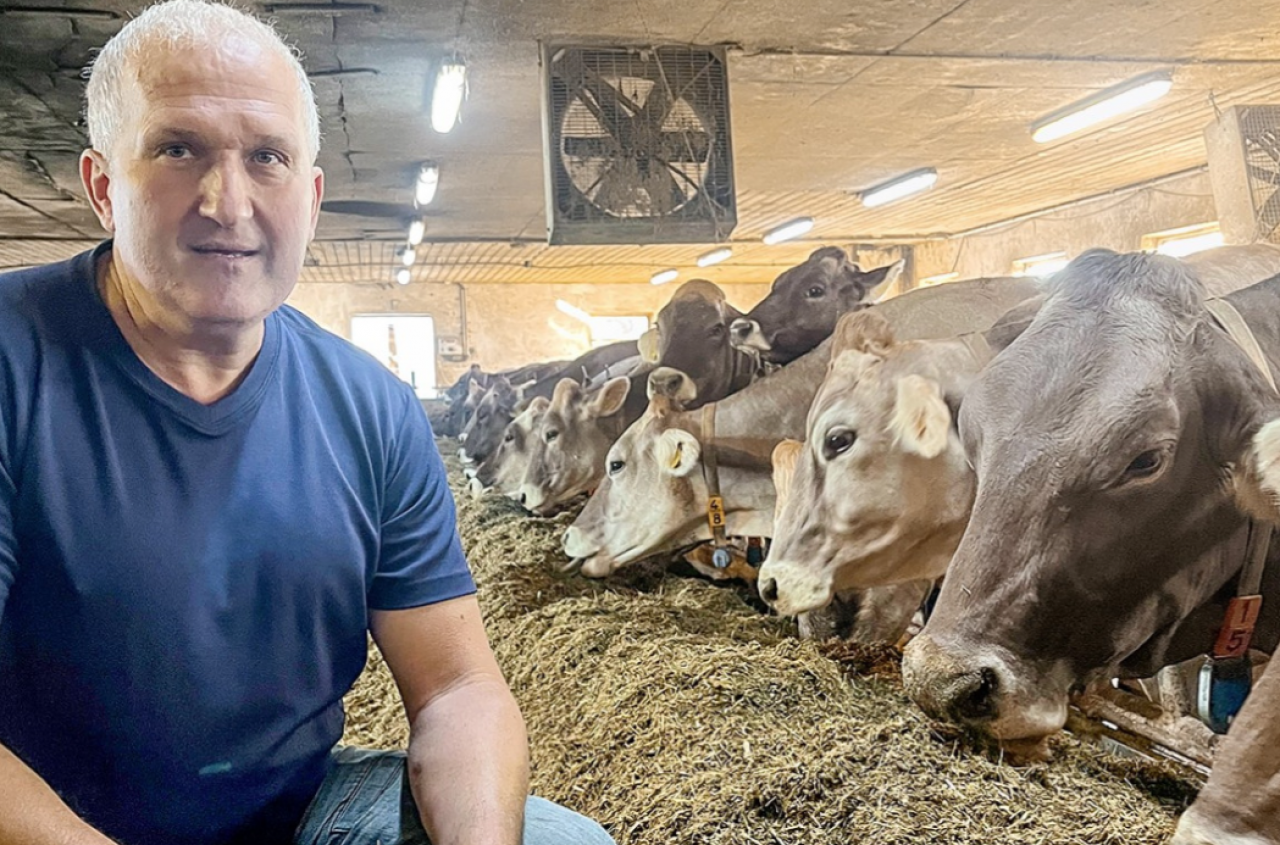 Susza zabrała mu połowę trawy. Podwoił udział kukurydzy, a krowy przez cały czas dają 40 litrów mleka