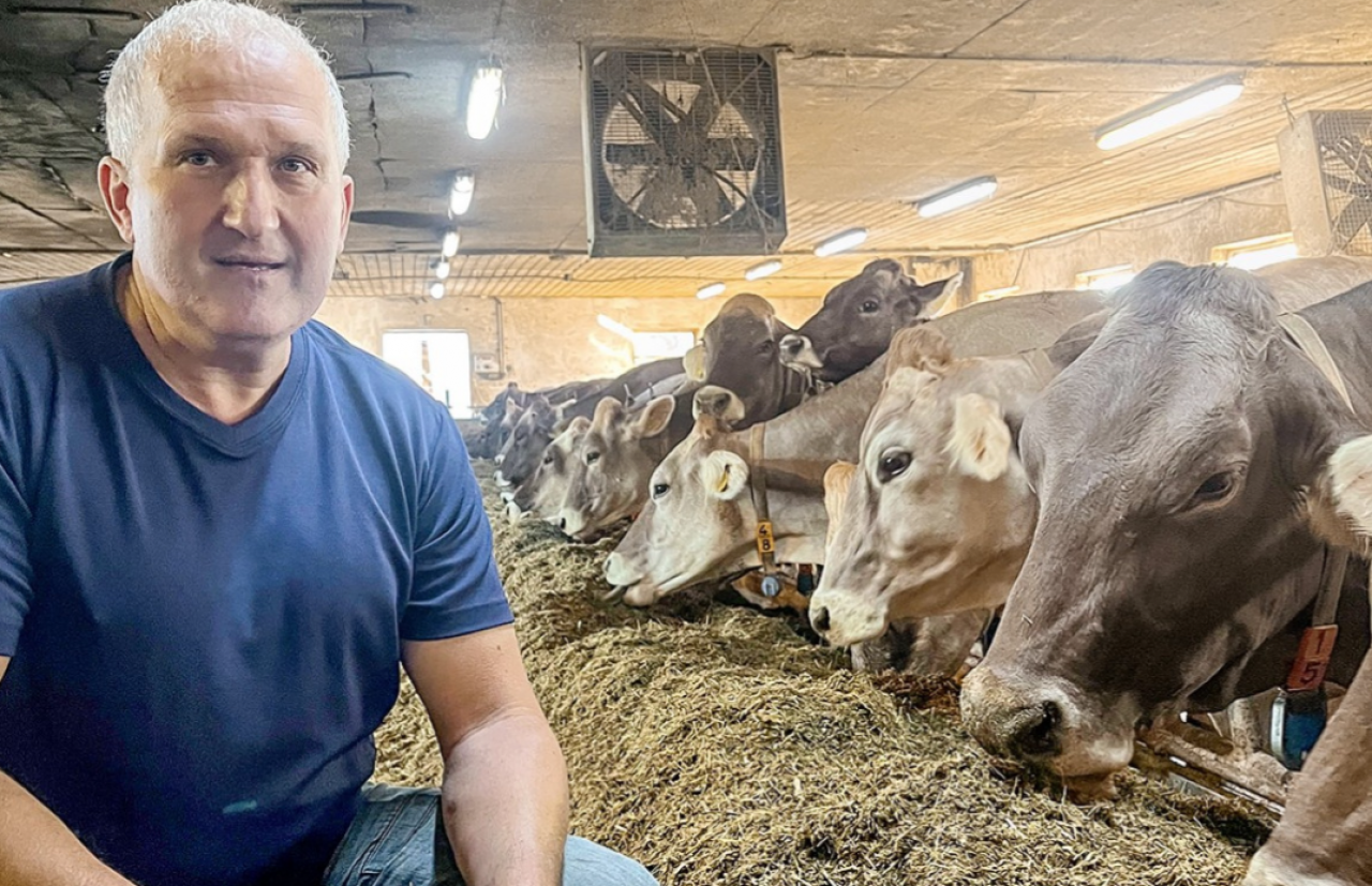 Susza zabrała mu połowę trawy. Podwoił udział kukurydzy, a krowy nadal dają 40 litrów mleka