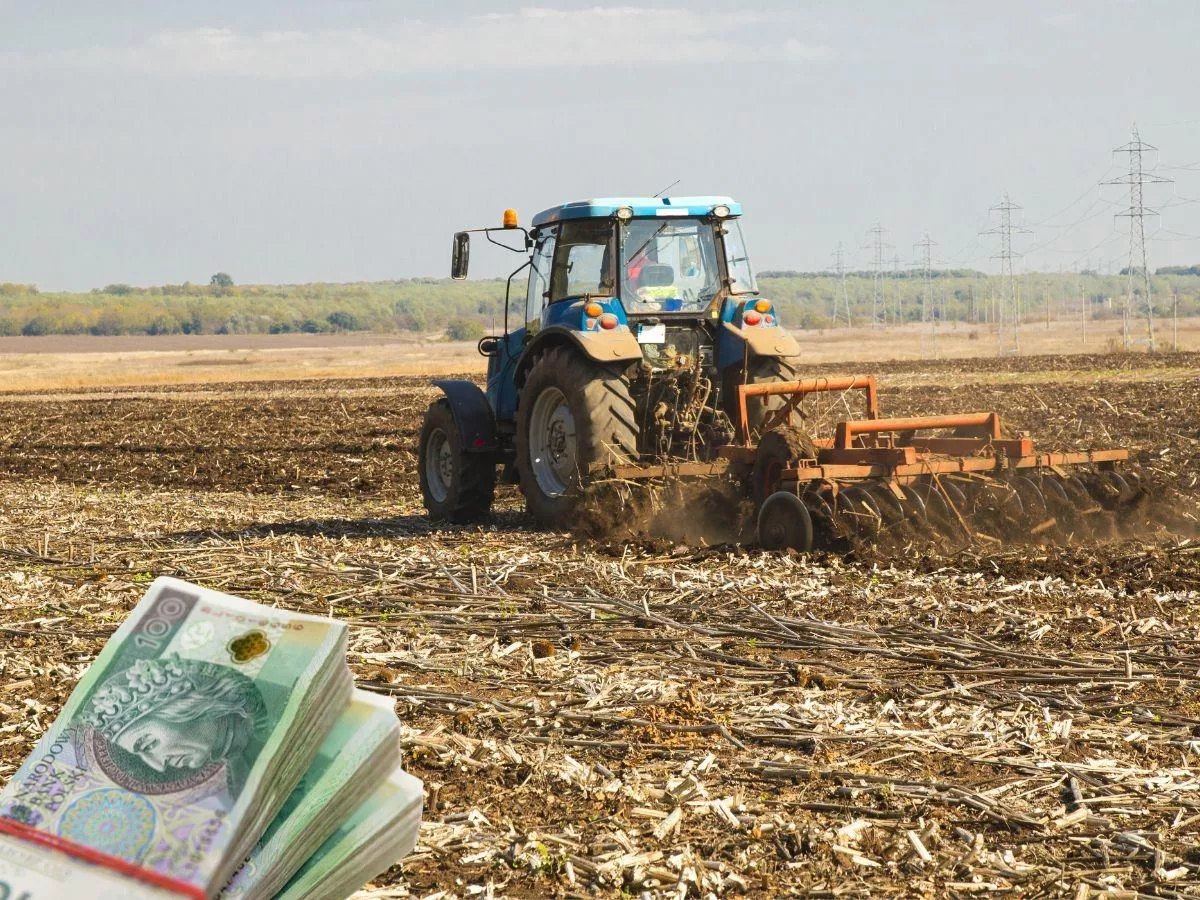 Bez zgody oddał komuś 2 ha ziemi. Może stracić całą dzierżawę
