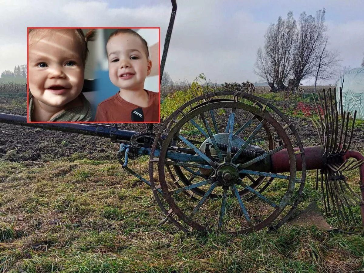 Rolnik zaprasza ludzi na pole. Będą kopać ziemniaki jak dawniej, żeby pomóc dwójce dzieci