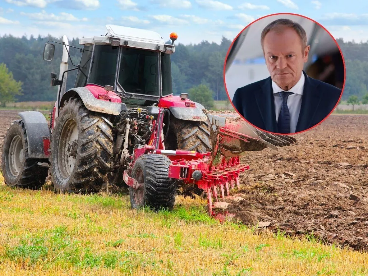 Nawozy na Ukrainę po 1700 zł, paliwo po 2,94 zł? Rolnicy żądają wyjaśnień od Tuska