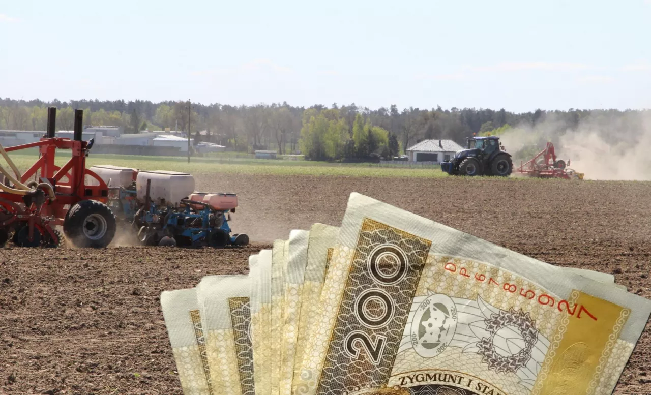 pole, polskie banknoty