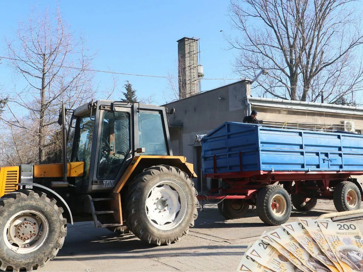 Pszenica drożeje choćby o 50 zł, rzepak o 100 zł. Jakie są ceny skupu? [SONDA]