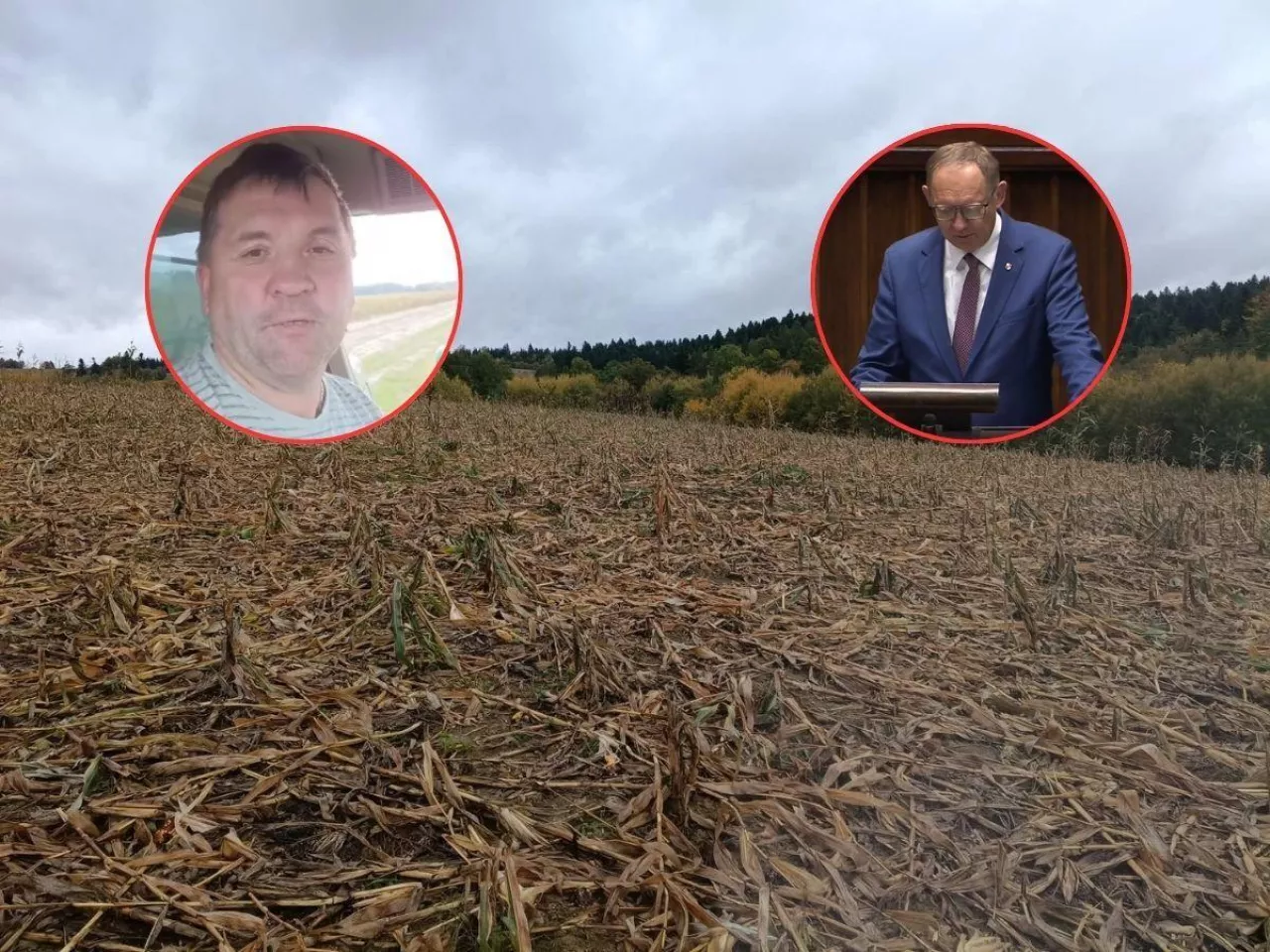 Co dalej ws. konsultacji społecznych ws. ustawy Prawo łowieckie?