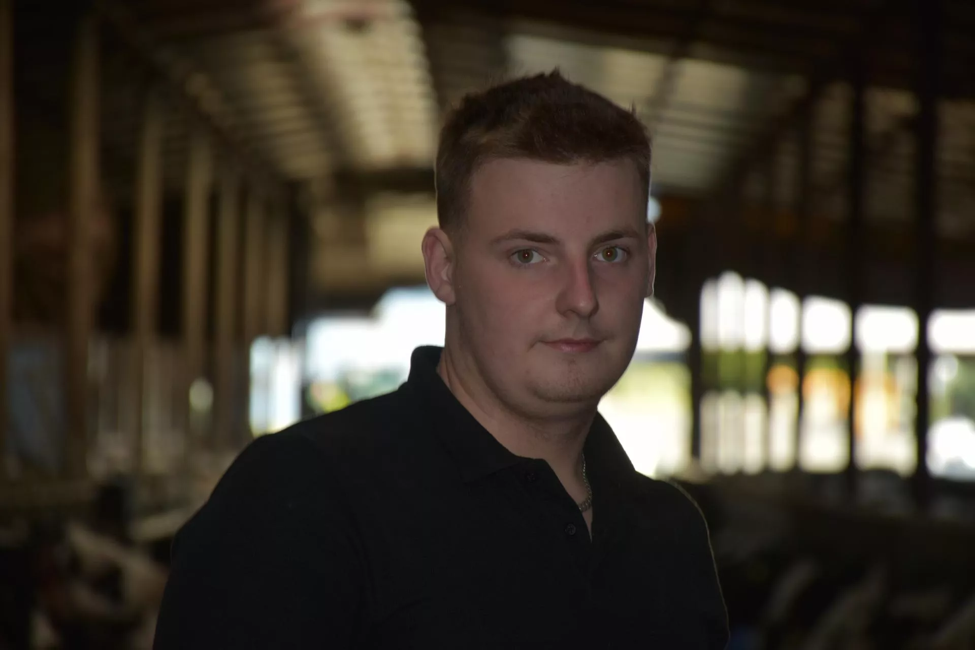 Mogli oddać robota bez kosztów. Został i ma obsługiwać ponad 300 krów