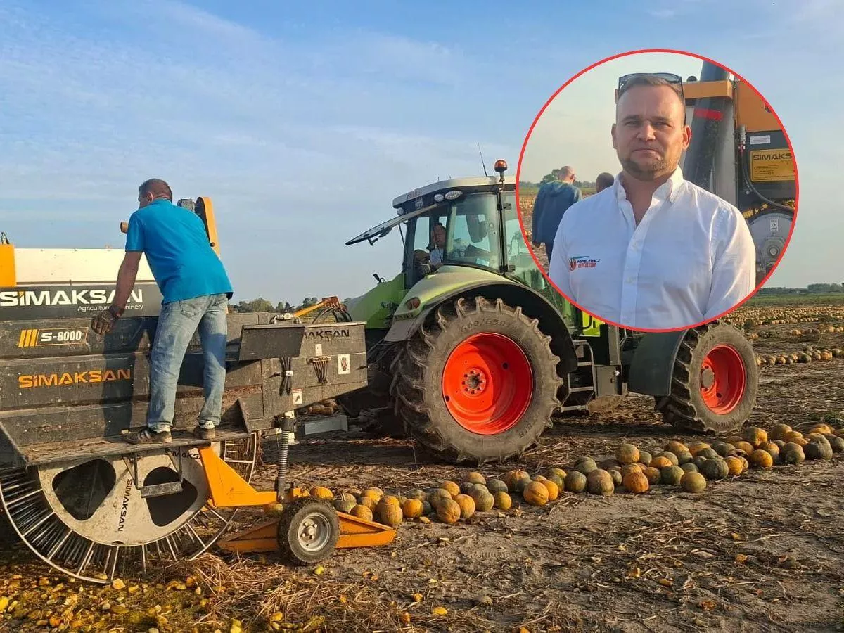 Z pestek dyni zrobił duży interes. Sam uprawia niewiele, a przerabia 5 tys. ton rocznie