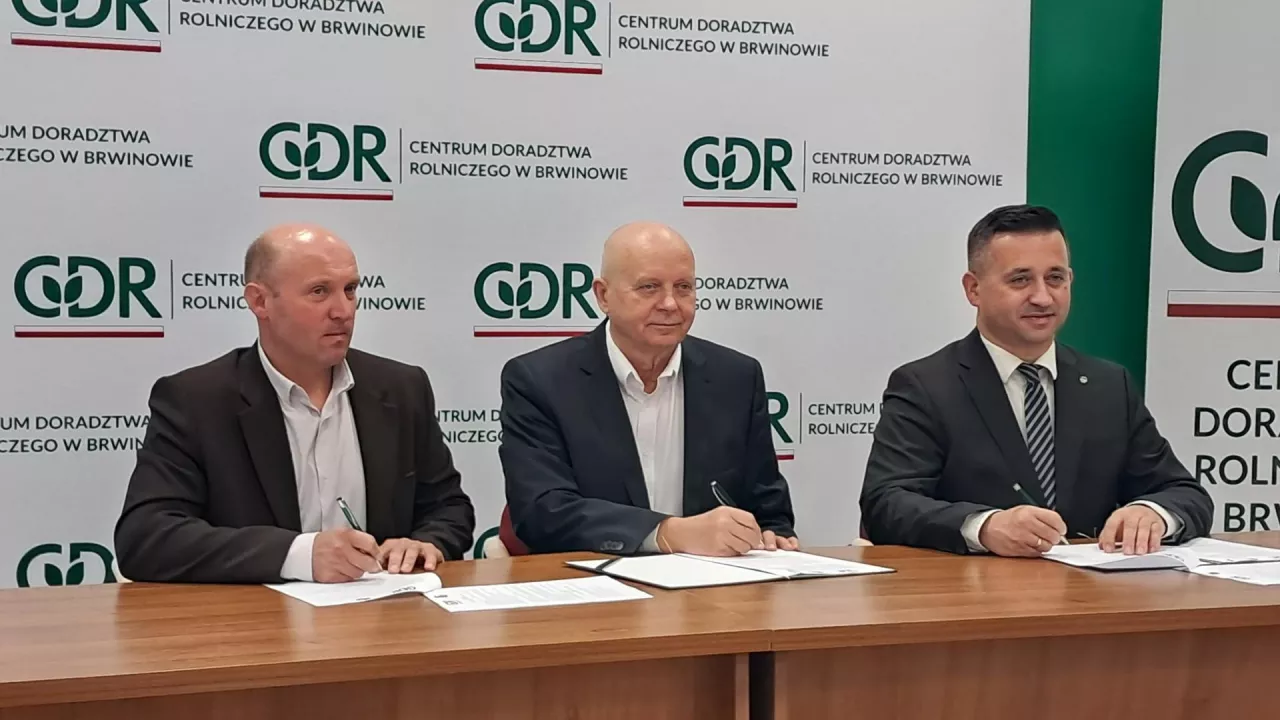 Hodowcy bydła mają produkować taniej i zarabiać więcej. Eksperci szykują dla nich nowe rozwiązania