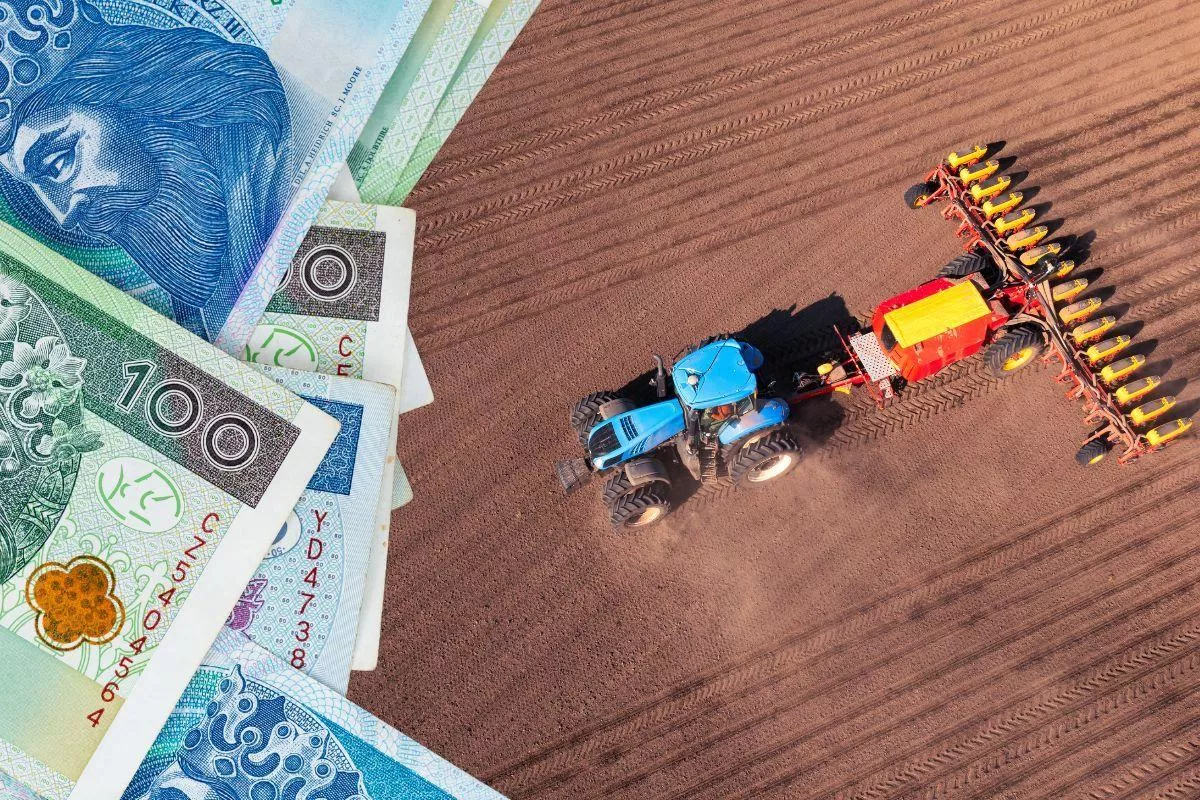 Podatek rolny w dół. GUS podał nową stawkę na 2027 rok. Ile zaoszczędzą rolnicy?