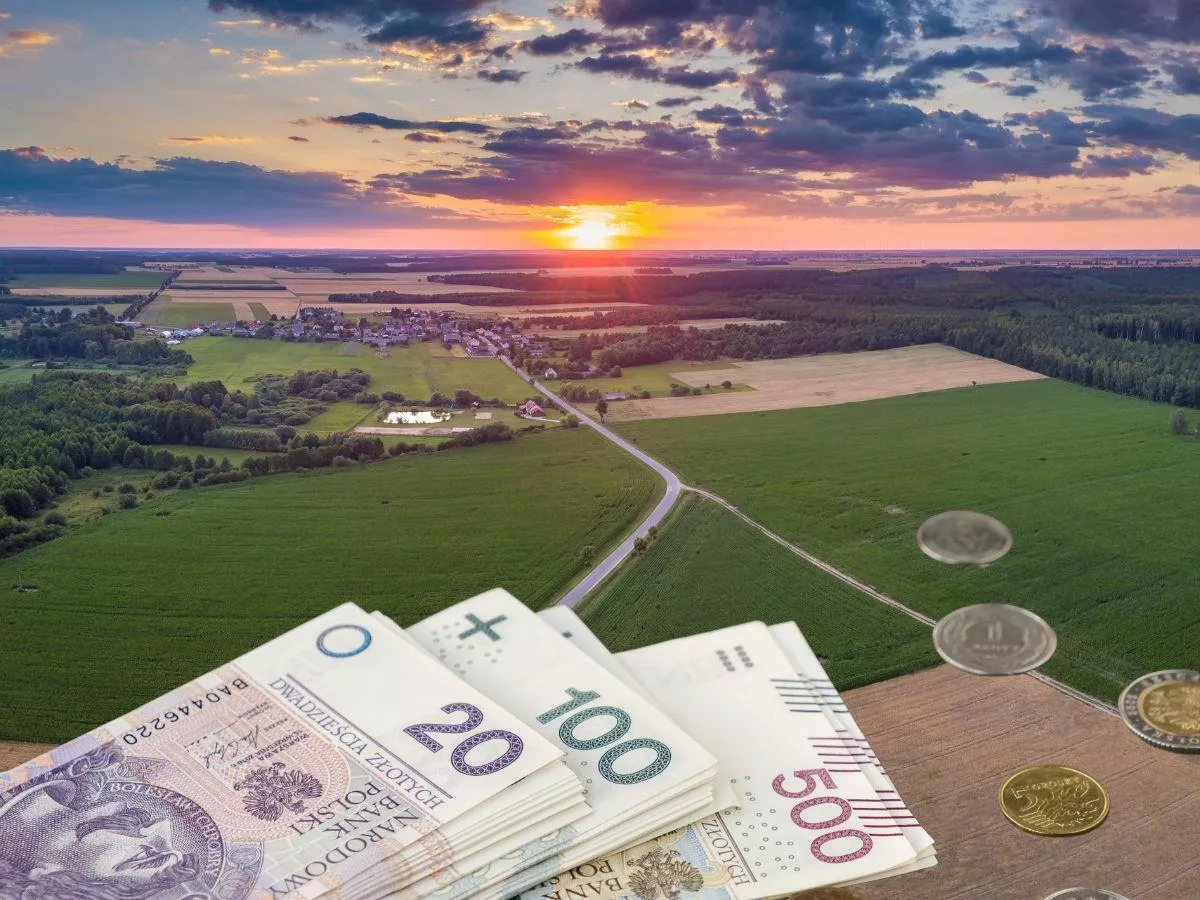 KOWR wystawił na sprzedaż 50 ha za 2,5 mln zł. Ale na tej ziemi jest coś jeszcze