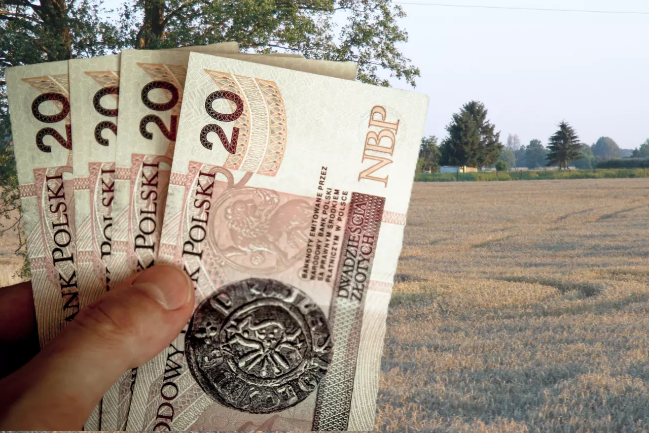 pole, ręką a w niej polskie banknoty