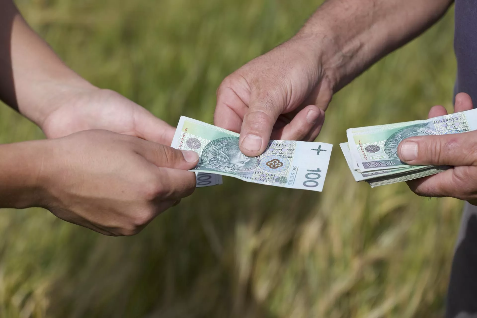 Rolnik wynajmuje pokoje turystom. Kiedy nie musi płacić podatku