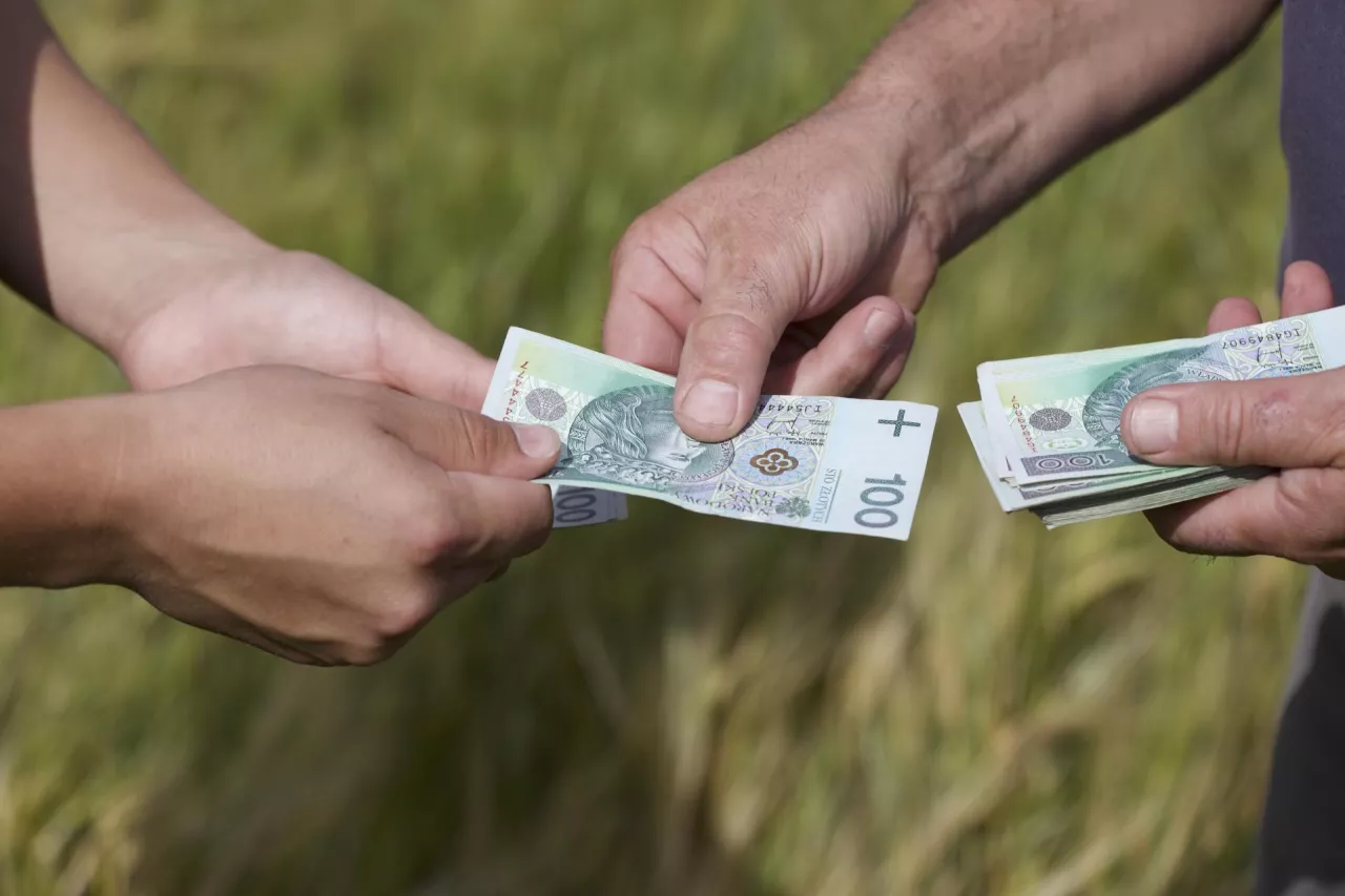 Agroturystyka prowadzona przez rolniczkę – jakie podatki obowiązują?