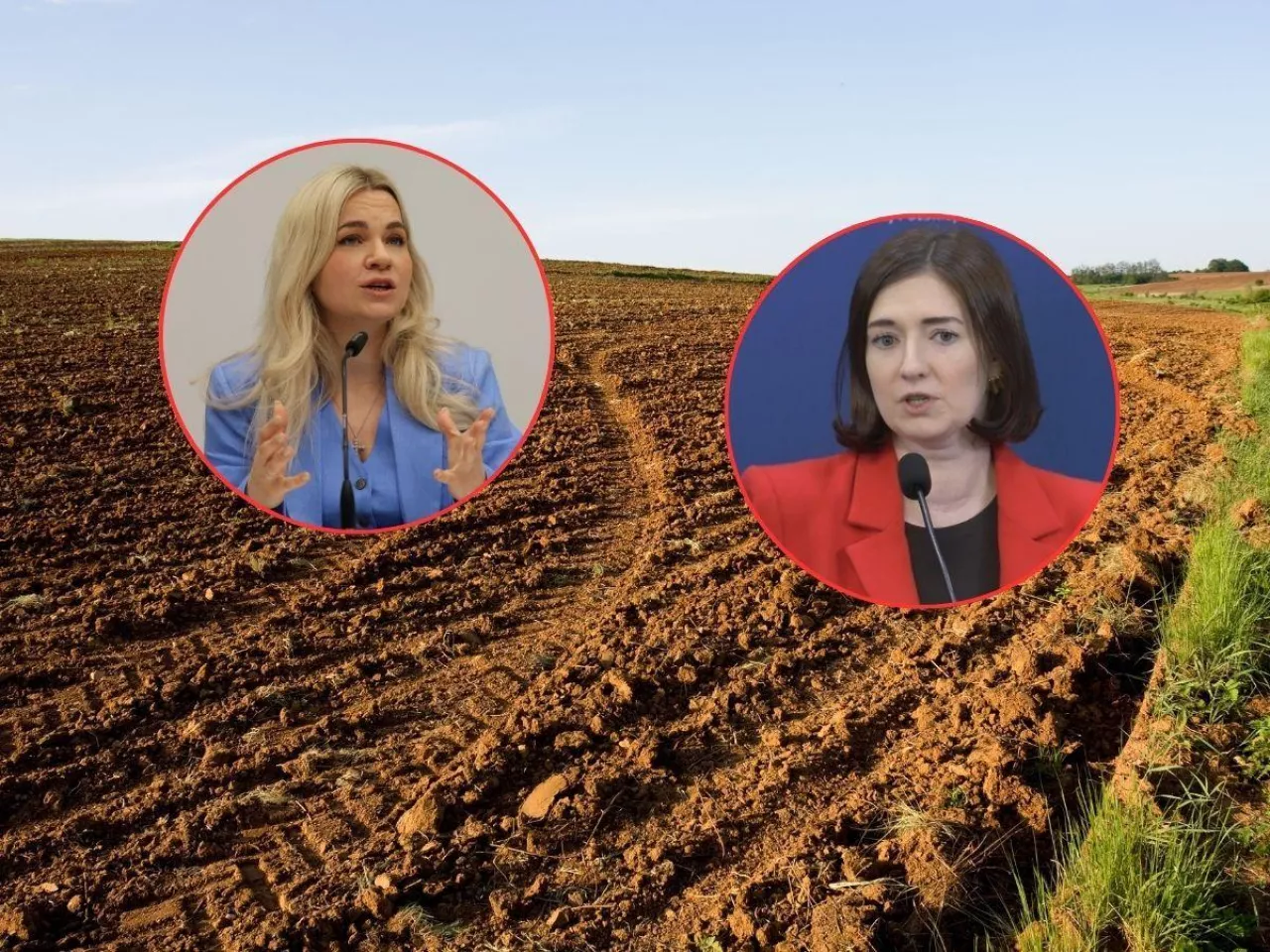 pole, w kółkach Małgorzata Gromadzka i Anna Gembicka