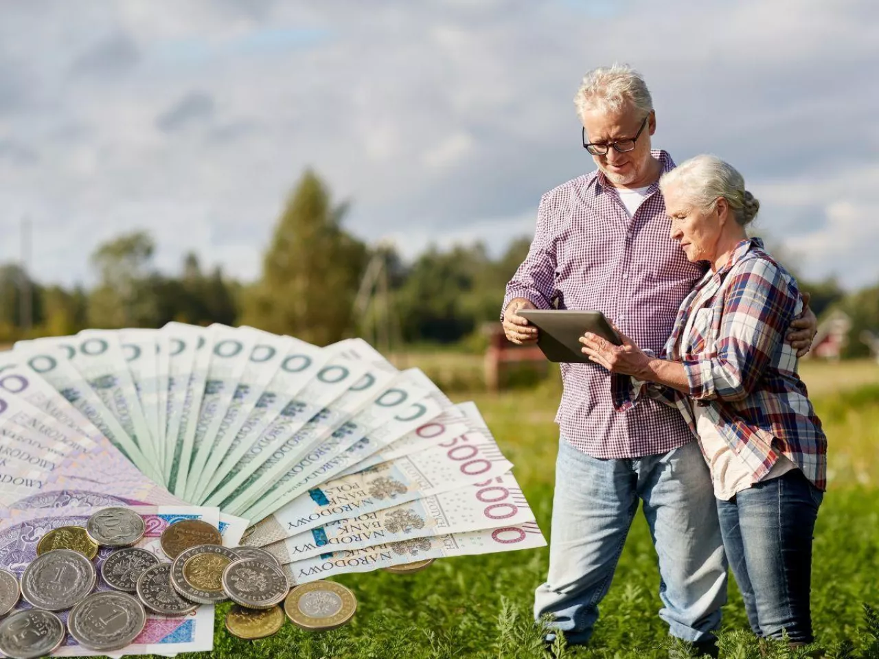 rolnik i rolniczka na polu, po lewej wachlarz polskich banknotów