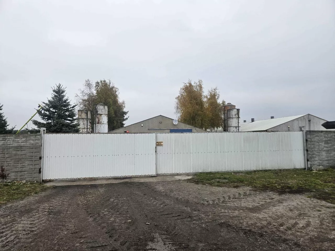 Kurnik należący do rodziny Smiesznych. W kwietniu weterynaria nakazała likwidację stad z powodu rzekomego pomoru drobiu. Rolnicy do dziś nie otrzymali odszkodowania.