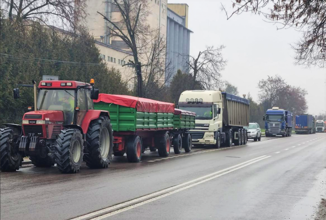 Zboża mogą jeszcze potanieć, świnie już tanieją. A co z nawozami i bydłem? [RAPORT 30.10]